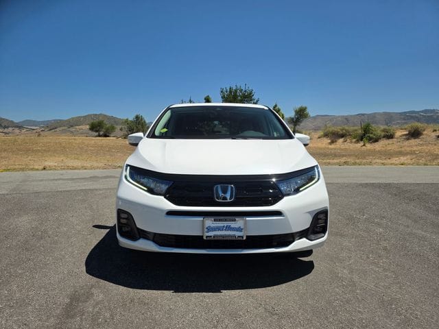 New Honda Odyssey for Sale | Sunset Honda