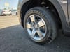 10 thumbnail image of  2026 Honda Ridgeline RTL