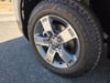 10 thumbnail image of  2026 Honda Ridgeline RTL