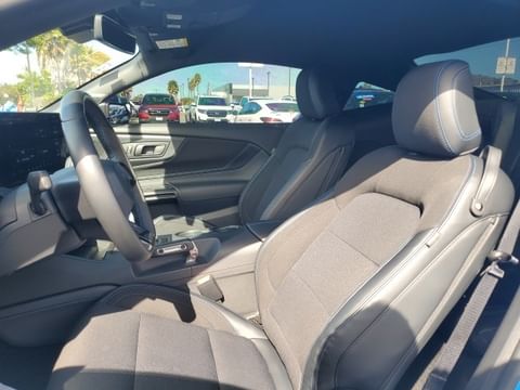 2024 Ford Mustang Dark Horse