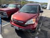 4 thumbnail image of  2009 Honda CR-V EX