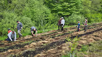  Group of adults and children planting seedlings.