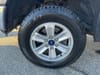 31 thumbnail image of  2019 Ford F-150 XLT
