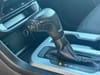 33 thumbnail image of  2019 Chevrolet Colorado LT