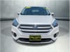 10 thumbnail image of  2019 Ford Escape SE