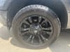 33 thumbnail image of  2019 Ford F-150 XL