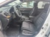 12 thumbnail image of  2019 Honda CR-V EX