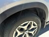 31 thumbnail image of  2019 Subaru Forester Premium
