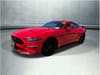 1 thumbnail image of  2020 Ford Mustang GT
