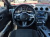 16 thumbnail image of  2020 Ford Mustang GT