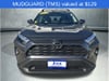 11 thumbnail image of  2022 Toyota RAV4 XLE Premium