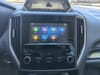 24 thumbnail image of  2023 Subaru Forester Premium