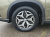 31 thumbnail image of  2023 Subaru Forester Premium
