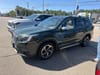 1 thumbnail image of  2023 Subaru Forester Touring