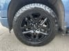 41 thumbnail image of  2024 Chevrolet Silverado 1500 RST