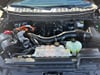 28 thumbnail image of  2024 Ford F-150 Platinum
