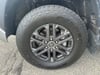 33 thumbnail image of  2024 Toyota Tundra SR5
