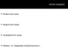 33 thumbnail image of  2025 Ford Explorer ST