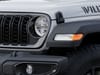 13 thumbnail image of  2025 Jeep Wrangler Willys