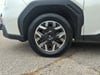 30 thumbnail image of  2025 Subaru Forester Base