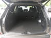 29 thumbnail image of  2026 Subaru Forester Sport