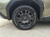 31 thumbnail image of  2026 Subaru Forester Wilderness