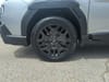 31 thumbnail image of  2026 Subaru Outback Limited XT