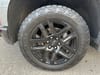 32 thumbnail image of  2021 Chevrolet Silverado 1500 LT Trail Boss