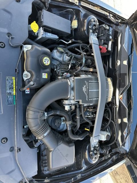 2010 Ford Mustang GT Premium photo 2