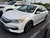 1 thumbnail image of  2016 Honda Accord Sport