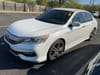 1 thumbnail image of  2017 Honda Accord Sport Special Edition