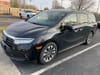 1 thumbnail image of  2023 Honda Odyssey EX-L
