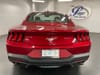 4 thumbnail image of  2024 Ford Mustang EcoBoost