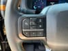 18 thumbnail image of  2025 Ford F-150 Tremor