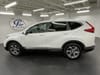 2 thumbnail image of  2019 Honda CR-V EX-L