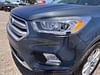 53 thumbnail image of  2019 Ford Escape SEL