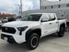 1 placeholder image of  2024 Toyota Tacoma TRD Off Road
