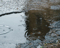 Open blog entry Can I Get Hyundai Road Hazard Warranty Coverage?