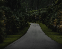 Open blog entry Essential Windward Jeep® Service Tips for Hawaii’s Fall Season