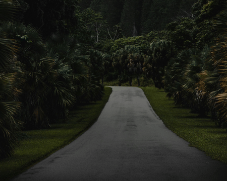 Essential Windward Jeep® Service Tips for Hawaii’s Fall Season