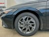 8 thumbnail image of  2024 Hyundai Elantra SEL