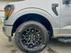 18 thumbnail image of  2025 Ford F-150 XLT
