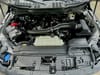 17 thumbnail image of  2025 Ford F-150 XLT