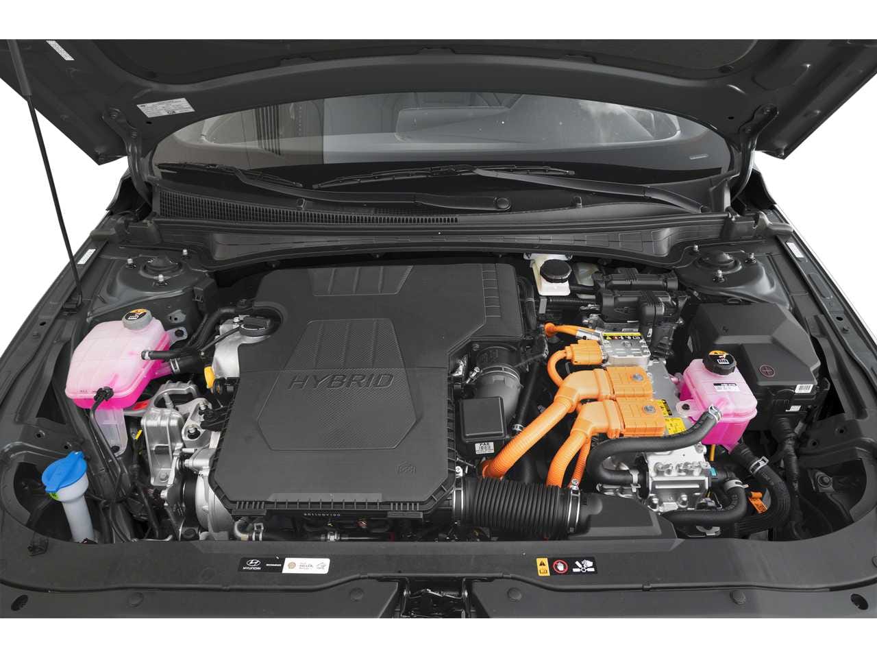 8 thumbnail image of  2025 Hyundai Elantra Hybrid Limited