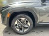 19 thumbnail image of  2025 Hyundai Tucson Hybrid SEL Convenience