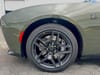 18 thumbnail image of  2026 Dodge Charger Scat Pack