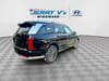 8 thumbnail image of  2026 Hyundai Palisade Hybrid Calligraphy