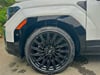 19 thumbnail image of  2026 Hyundai Santa Fe Calligraphy