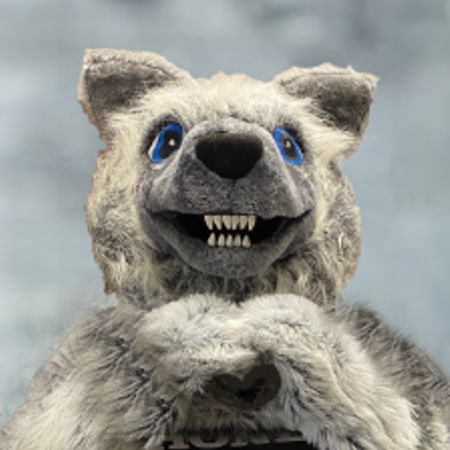 Wolfie masqot