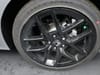16 thumbnail image of  2025 Honda Civic Sport